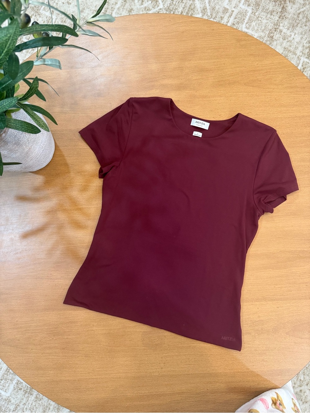 Aritzia Short Sleeve Crewneck Tee in Deep Burgundy